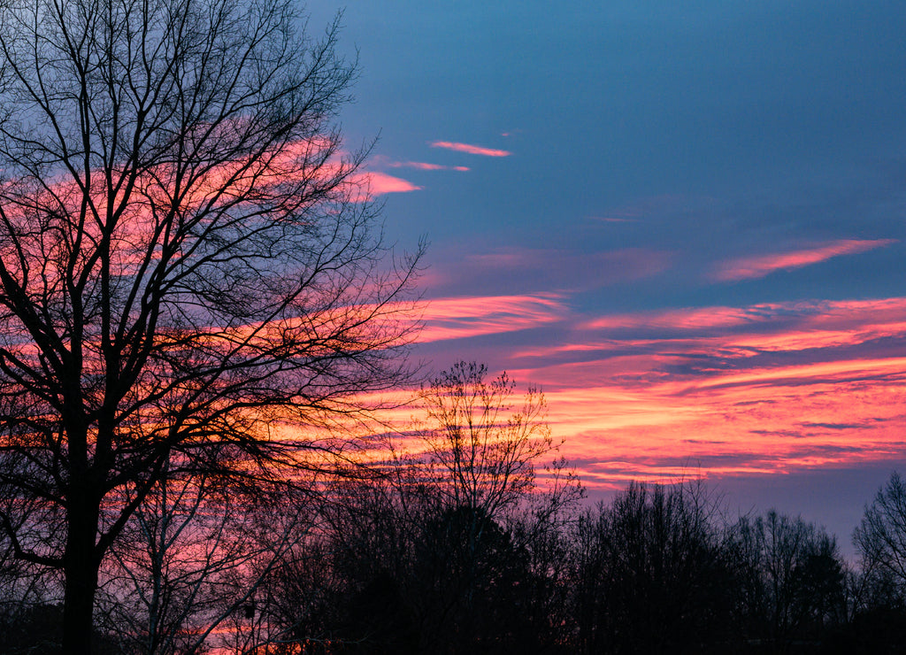 Chesterfield, Virginia Sunrise II