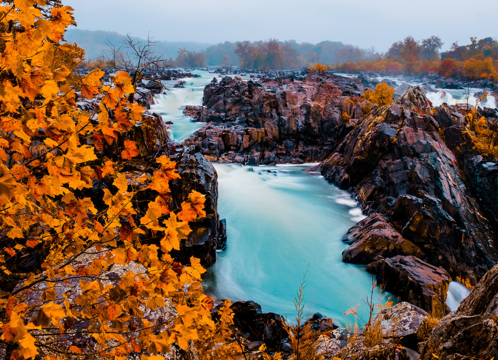 Great Falls Park, Virginia, USA -Potomac River waterfalls ,Waterfall Autumn season in Virginia,USA