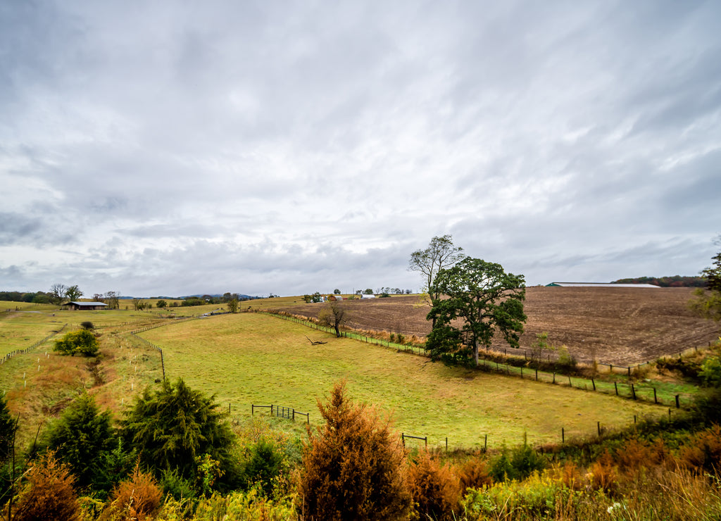 State of Virginia country side during autumn season