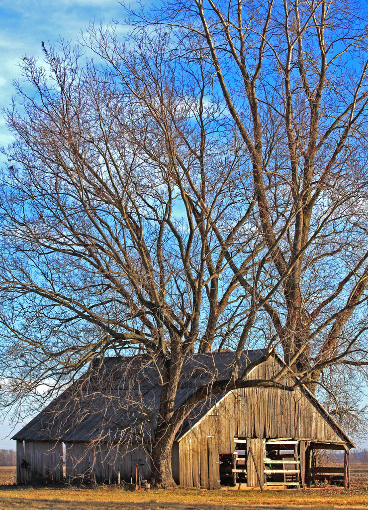 Old barn in rural Missouri