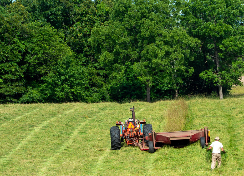 The farmer scatters the grass that piled up too high as mowing the pasture was being done in Missouri