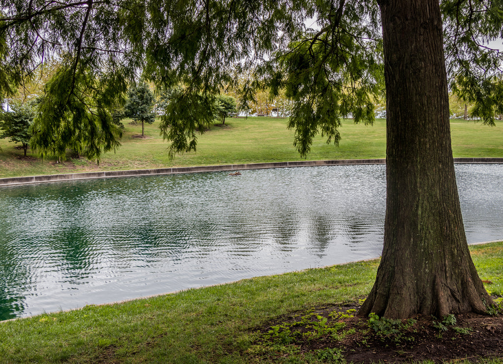 pond, grass and trees at Gateway Arch National Park, St. Louis, Missouri