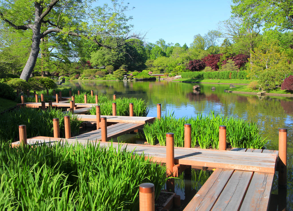 Board walk in Saint Louis Botanical gardens Missouri