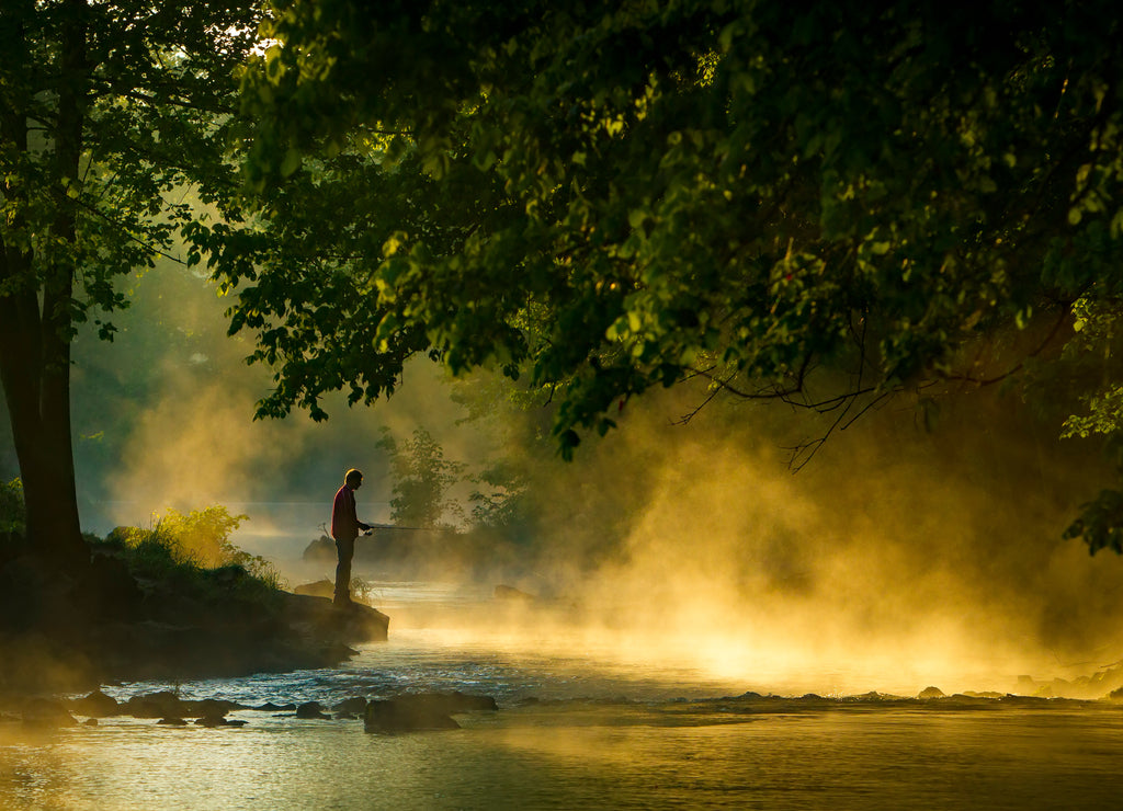 Roaring River State Park near Cassville, Missouri. Known for its trout park and clear river. Campground, conference center and hotel