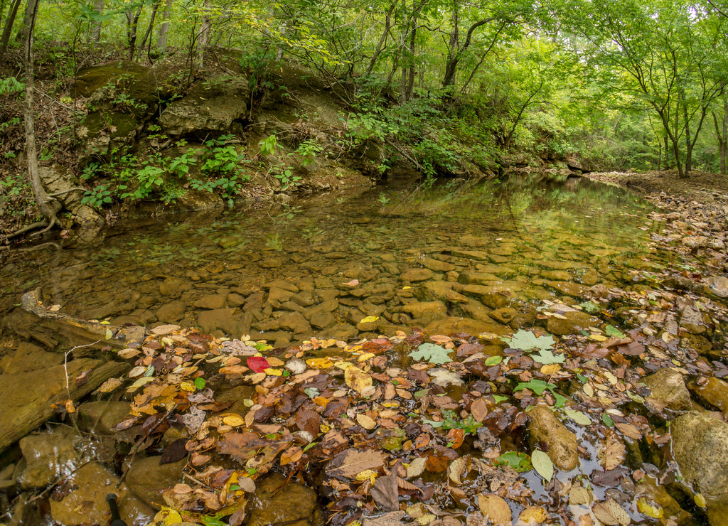 Coonville Creek, St. Francois State Park, Ozark Mountains, Missouri