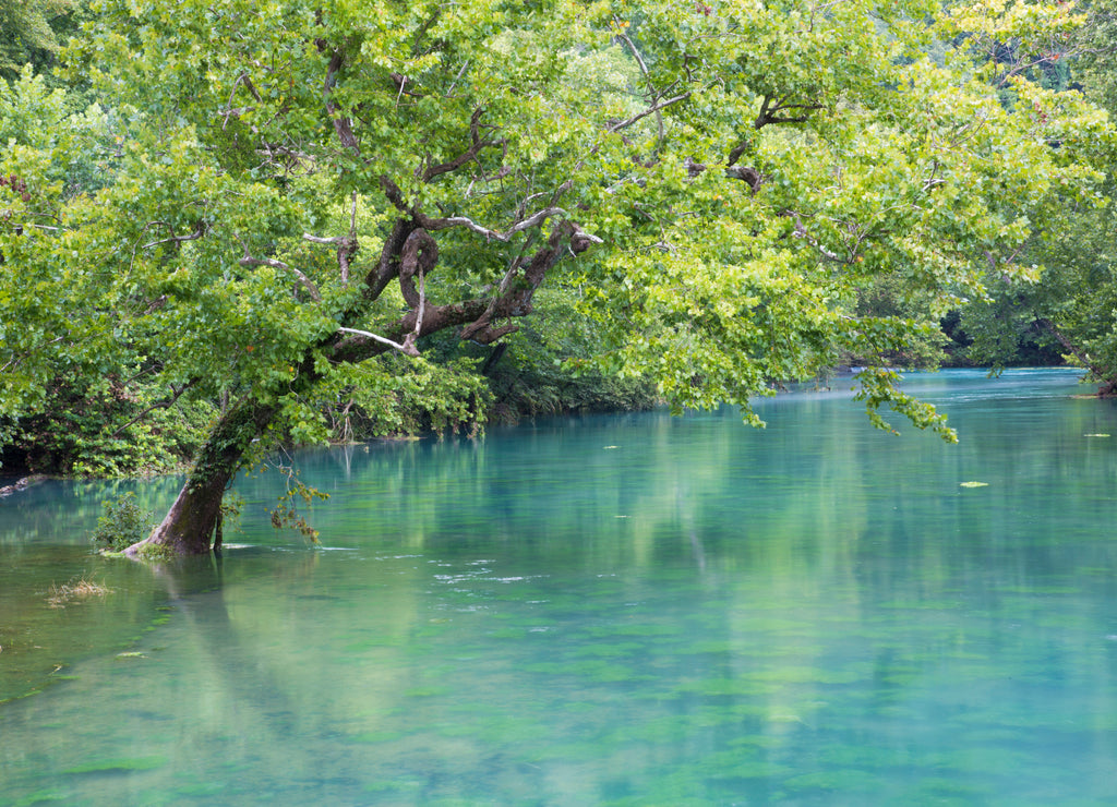 Big Spring, Ozark National Scenic Riverways near Van Buren, Missouri