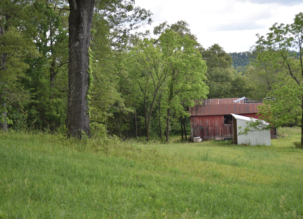 Missouri, U.S.A. Vintage tin roof barns