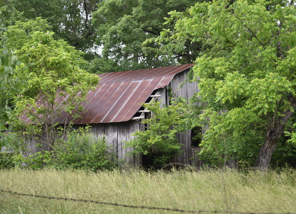 Missouri, U.S.A. Vintage tin roof barns