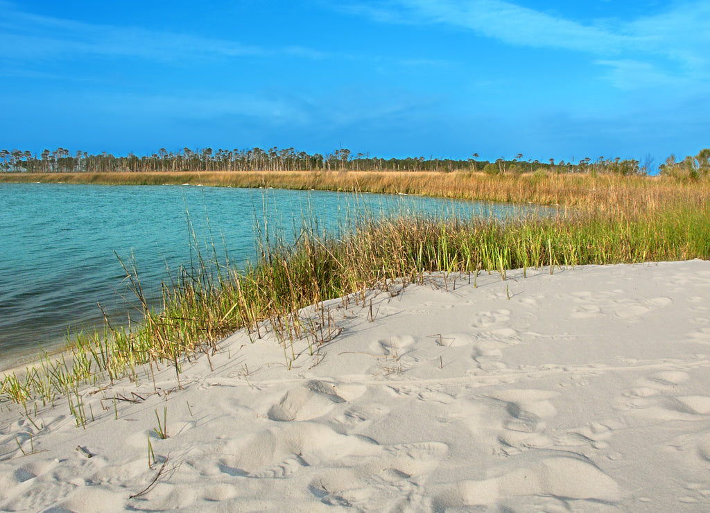 Horn Island Lagoon Mississippi