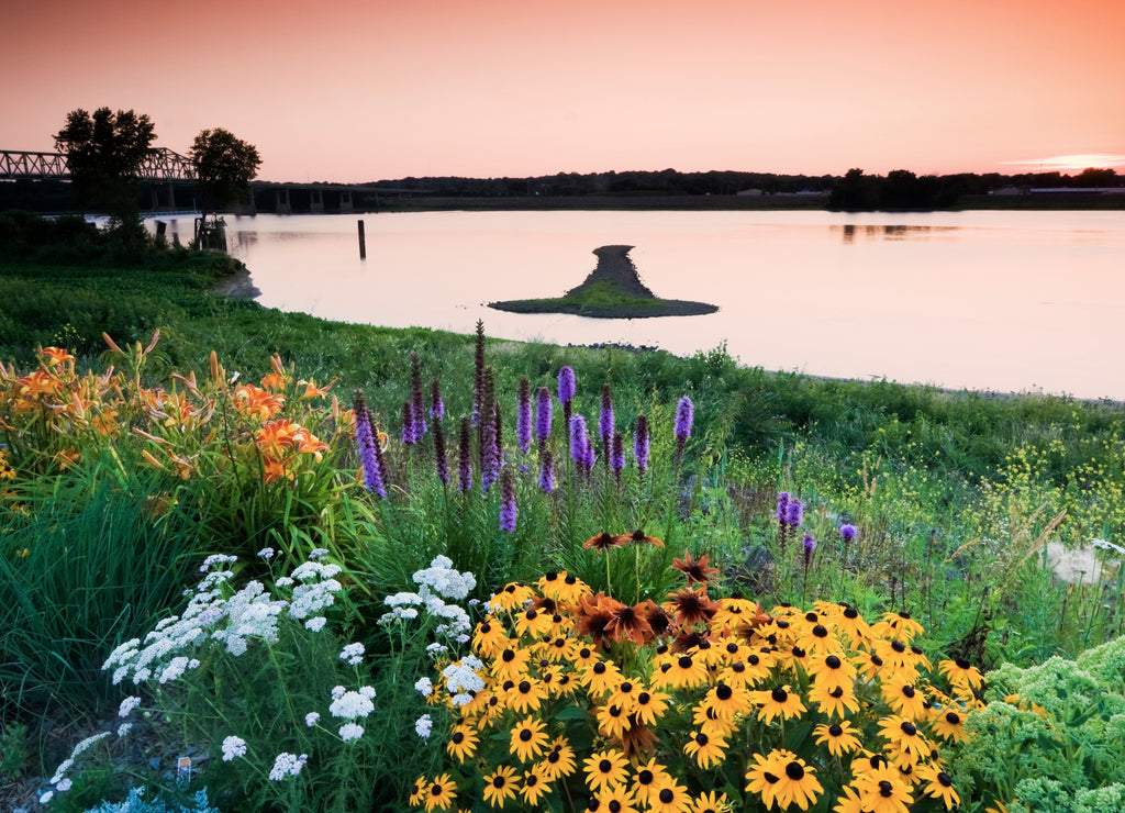 Arrow Island on Mississippi