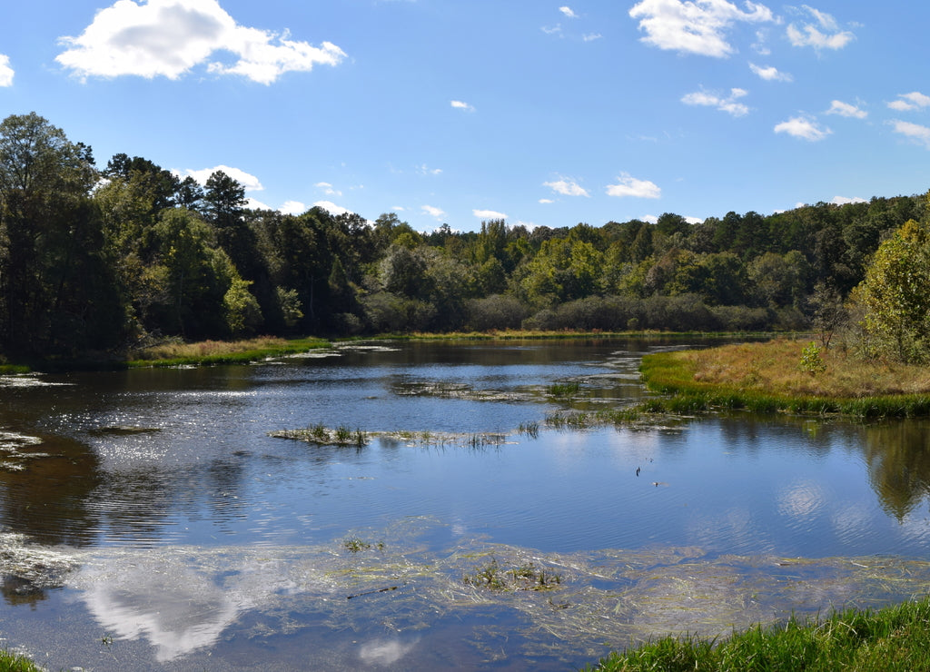 Bramlett Pond at the University of Mississippi Field Station