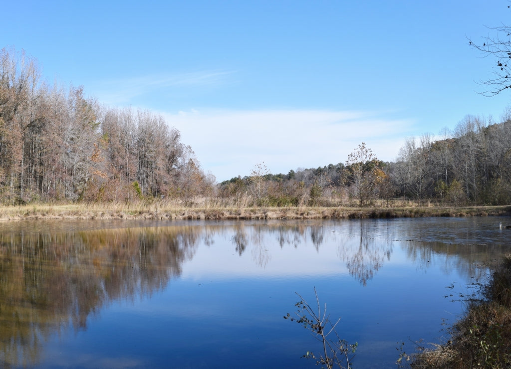 Ponds in November at the University of Mississippi Field Station