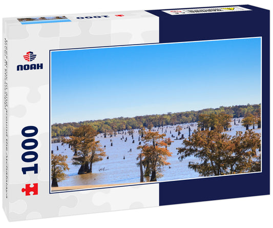 trees grow in and around the Atchafalaya River in Mississippi