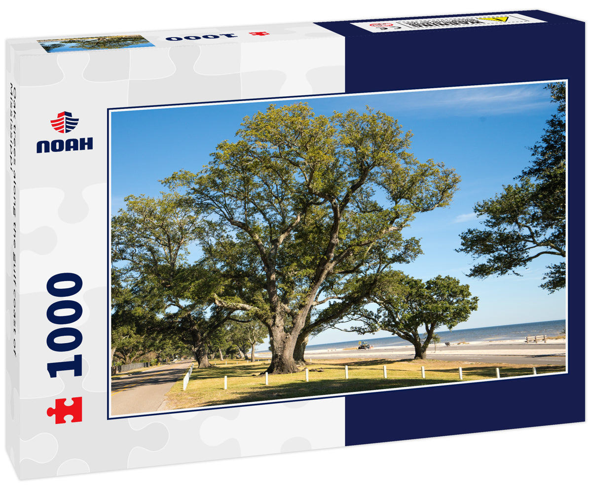 Oak trees along the gulf coast of Mississippi