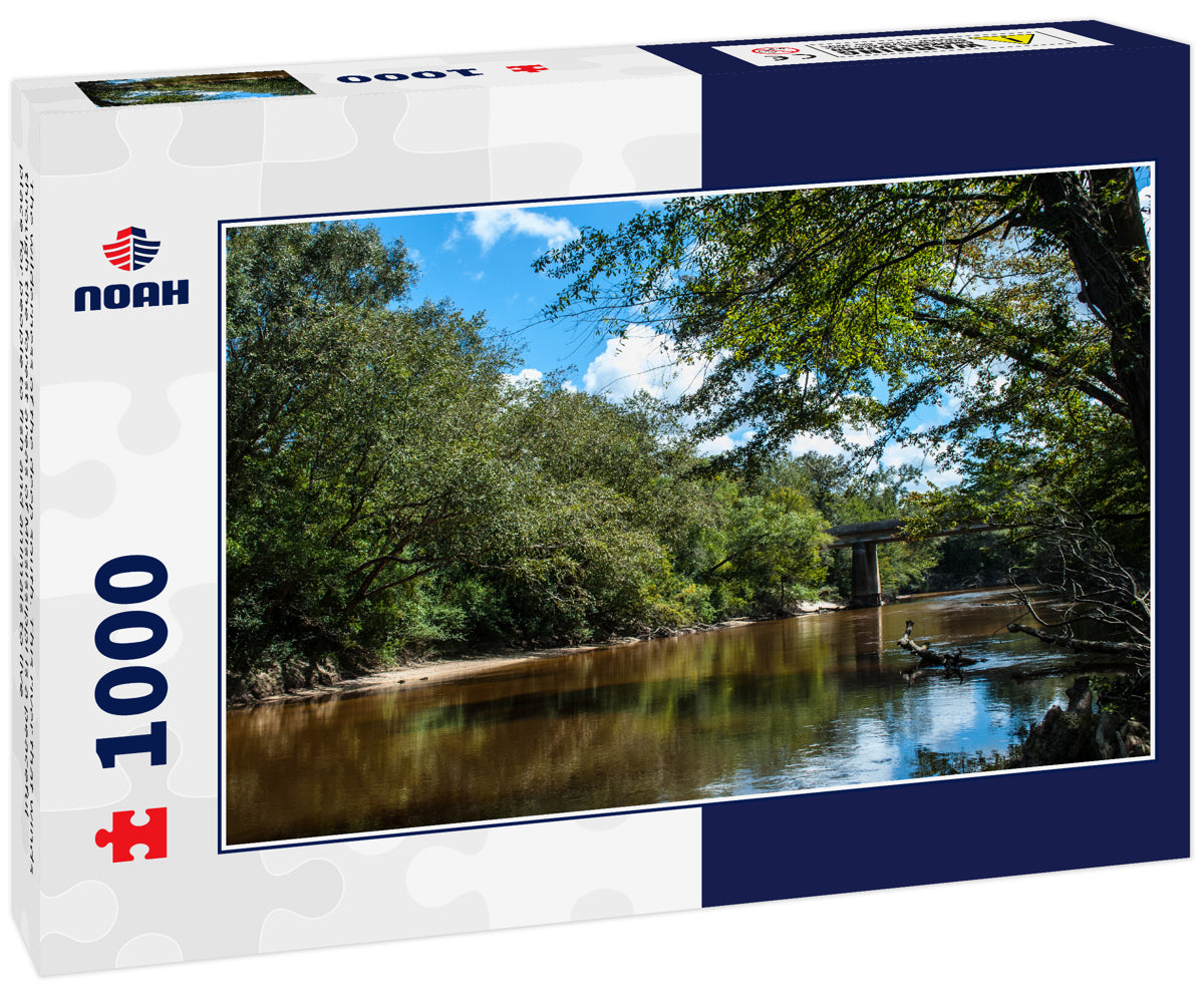 The wilderness of the deep south. This river that winds through the forest areas of Mississippi is a peaceful place for people to fish and animals to live