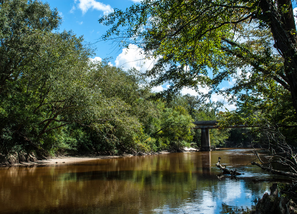 The wilderness of the deep south. This river that winds through the forest areas of Mississippi is a peaceful place for people to fish and animals to live