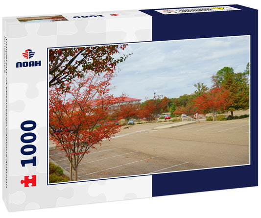 University of Mississippi campus autumn landscape