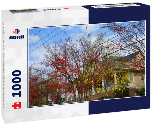 University of Mississippi campus autumn landscape