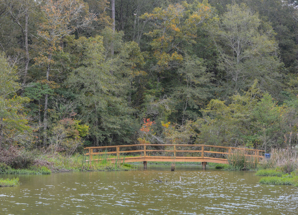 Beautiful Lake Lincoln State park has many recreational areas to enjoy, in Lincoln, Lincoln County, Mississippi