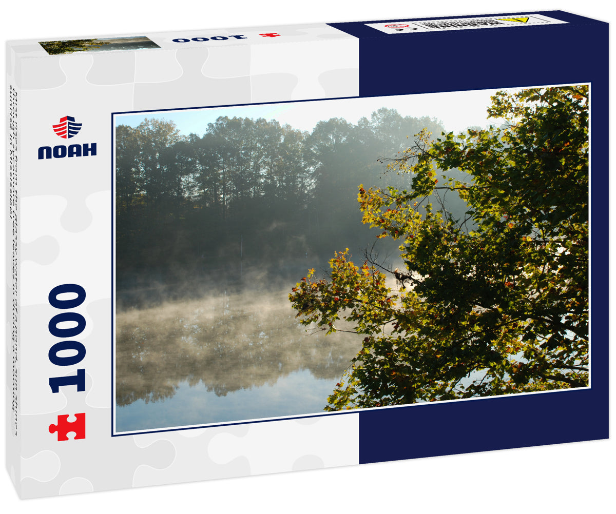 Mist rises from the glassy water of a pond, sun shines through sycamore tree leaves in during a morning sunrise in Mississippi