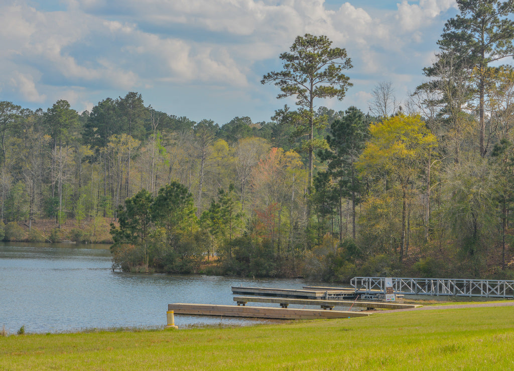 The beautiful view of Okhissa Lake in Homochitto National Forest, Bude, Franklin County, Mississippi