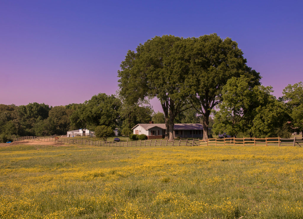 Mississippi farm houses