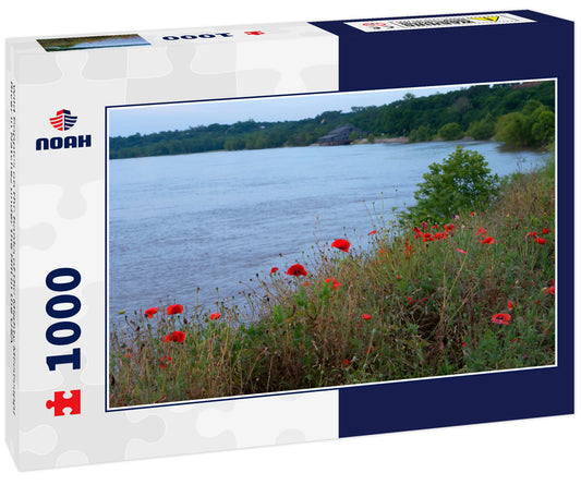 Wild Poppies on the banks of the Mighty Mississippi River in Natchez under the Hill in the USA