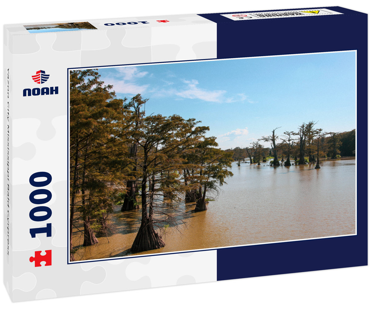 Yazoo City Mississippi Bald Cyrpress