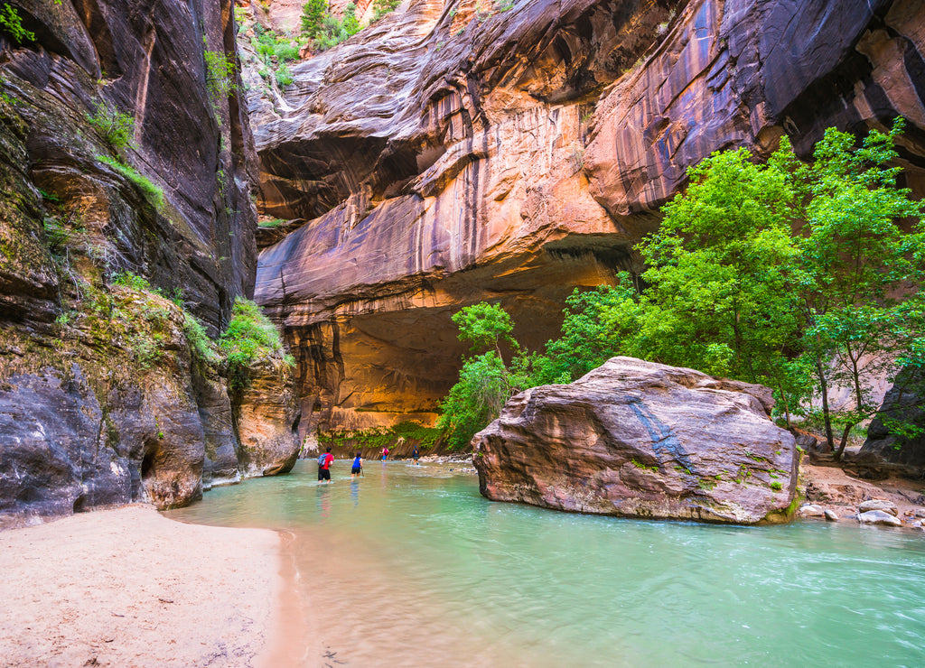 zion narrow with vergin river in Zion National park,Utah,usa