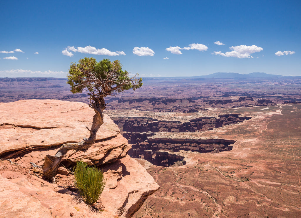 Aussicht beim Green River Outlook im Island in the Sky District des Canyonlands National Park, Utah