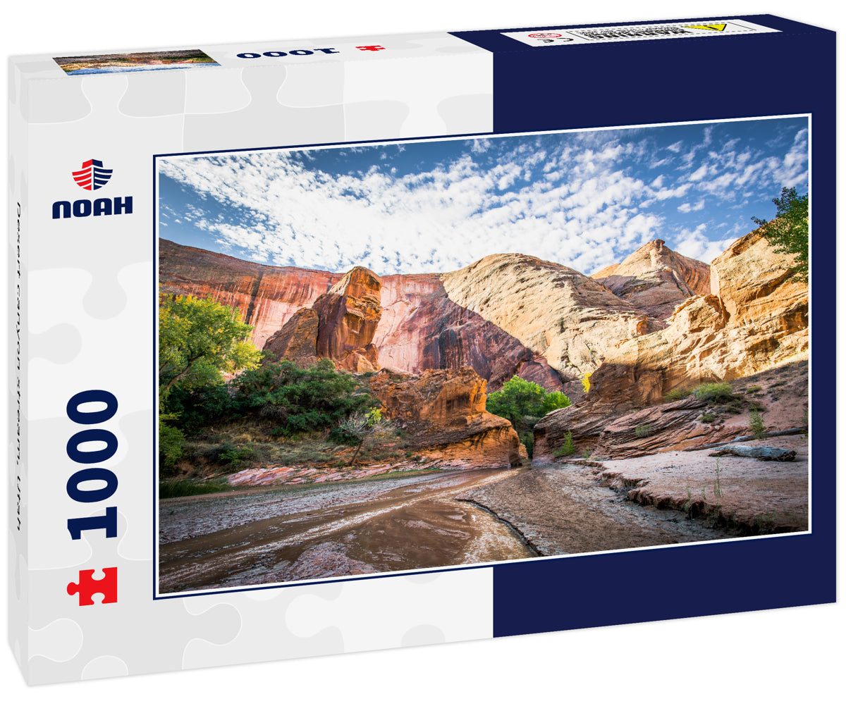 Desert canyon stream, Utah