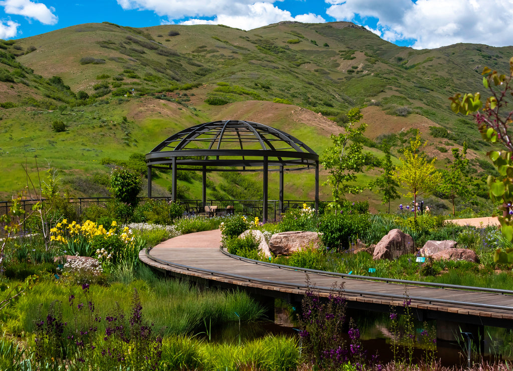 Fresh plants and flowers blooming in the red butte garden in the heart of downtown Salt Lake city, Utah