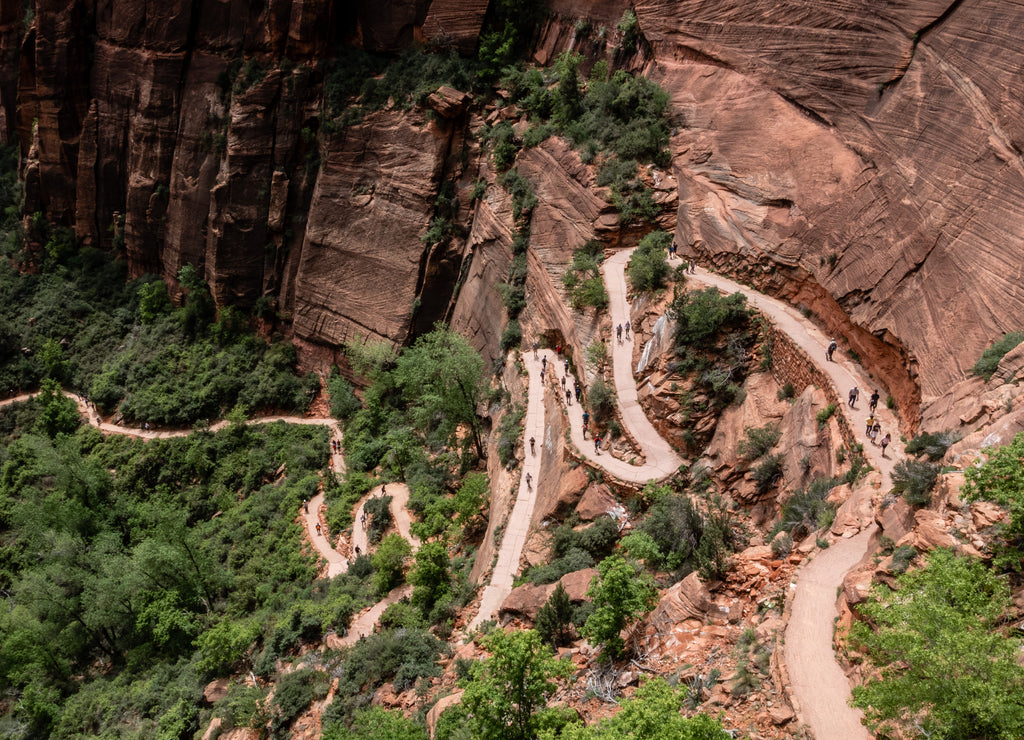 Hiking Up Angel's Landing at Zion National Park, Utah