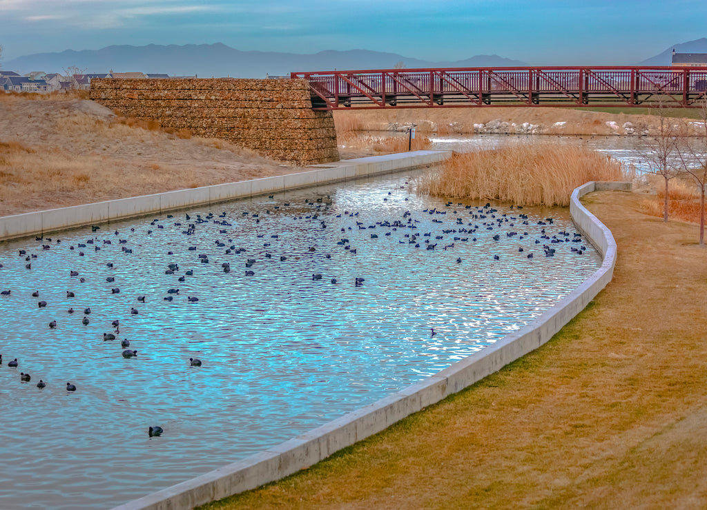 Bridge over lake with ducks in Daybreak Utah