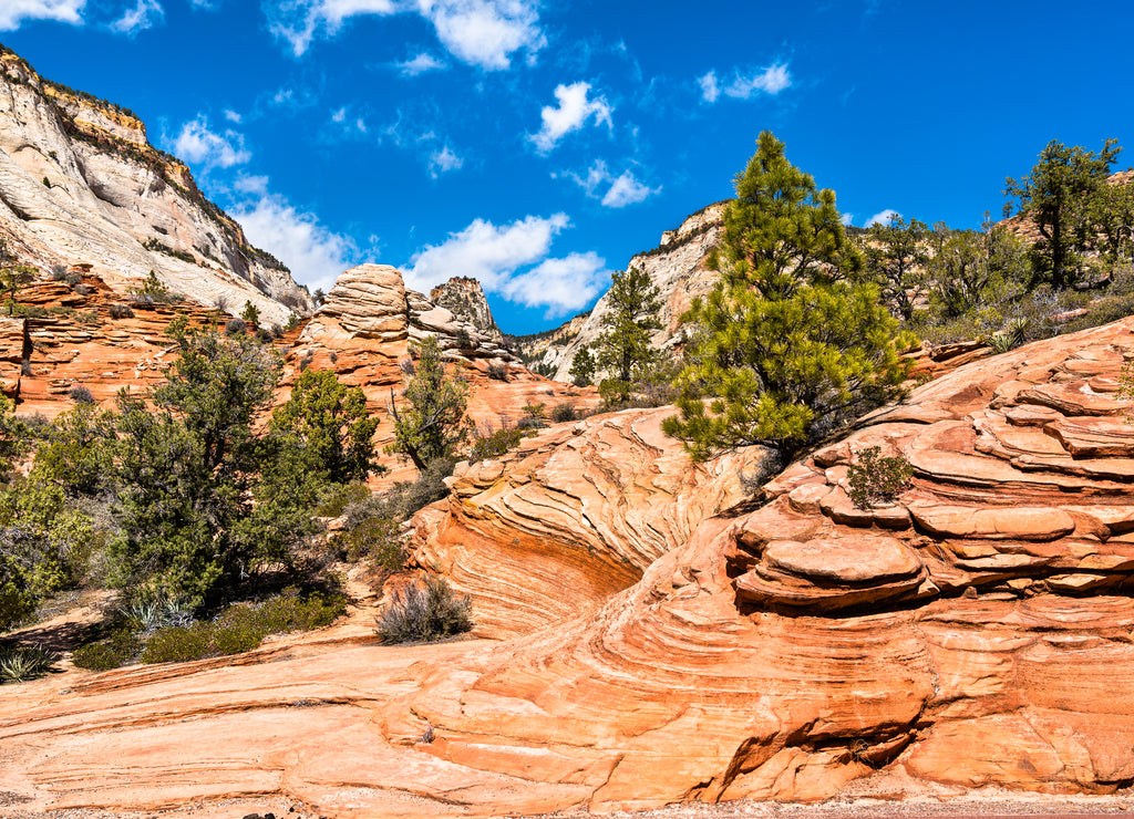 Landscape of Zion National Park along Pine Creek, Utah