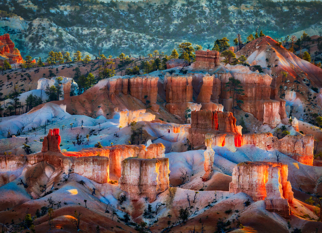 Glowing Hoodoos in Bryce Canyon Southern Utah