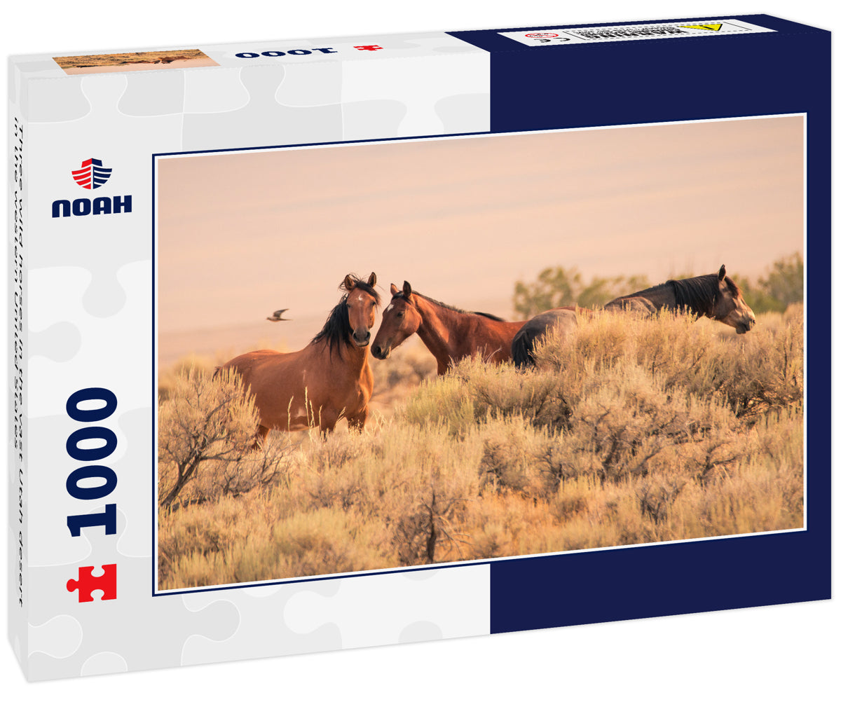 Three wild horses in the vast Utah desert in the western United States