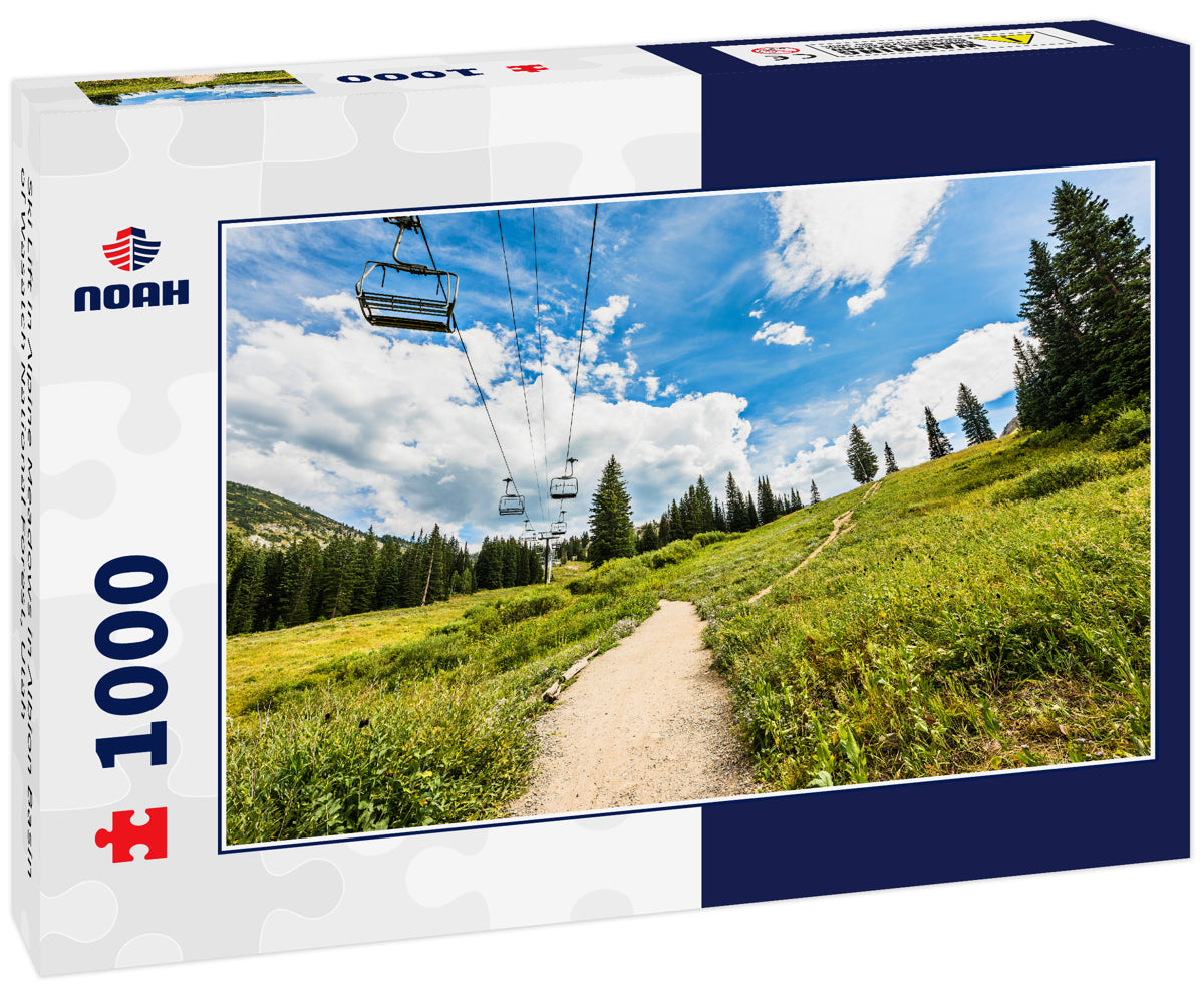 Ski Lift in Alpine Meadows in Albion Basin of Wasatch National Forest, Utah