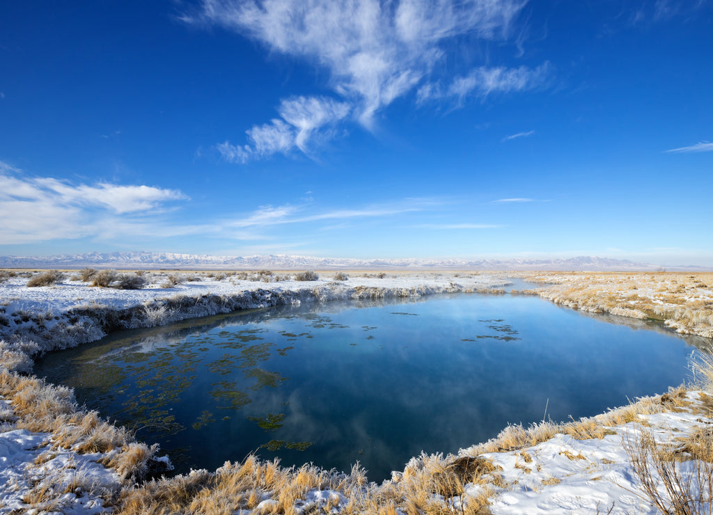 Horseshoe Springs Wildlife Management Area, Tooele county, Utah