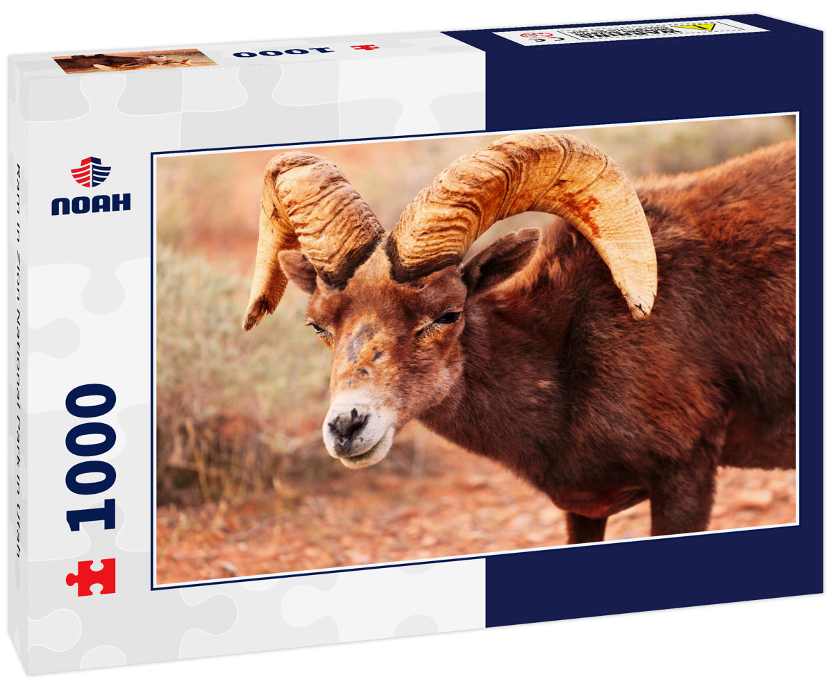 Ram in Zion National Park in Utah