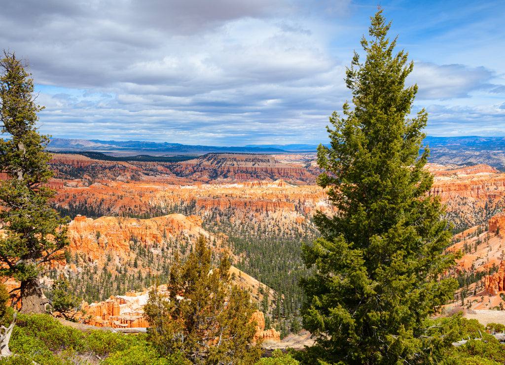 Bryce Canyon National Park, Utah, USA