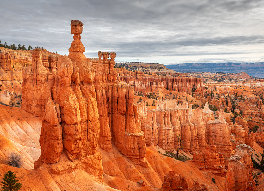 Bryce Canyon National Park, Utah, USA at Thor's Hammer