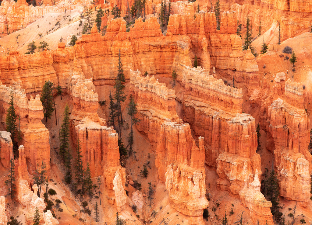 Bryce Canyon National Park, Utah, USA