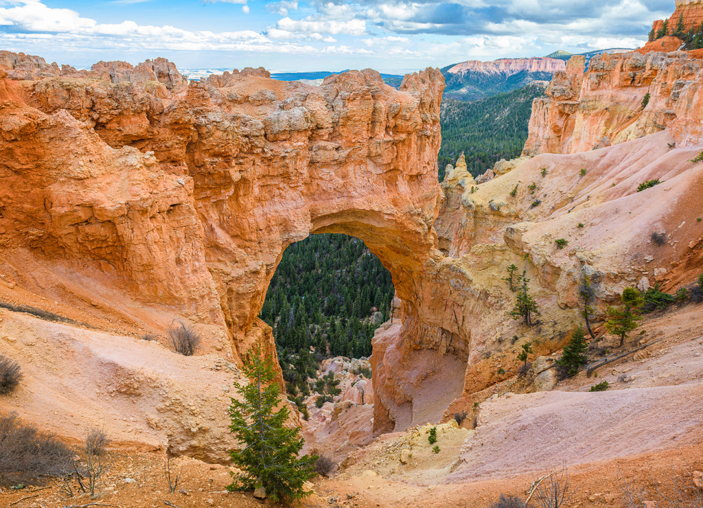 Bryce Canyon National Park, Utah, at the Natural Bridge