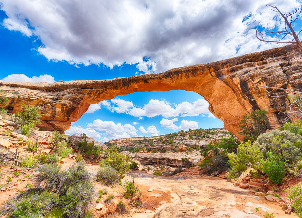 Owachomo Bridge, Utah