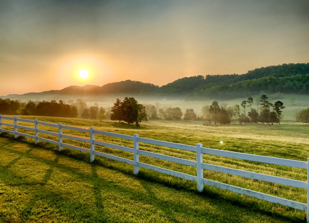 Tennessee Sunrise