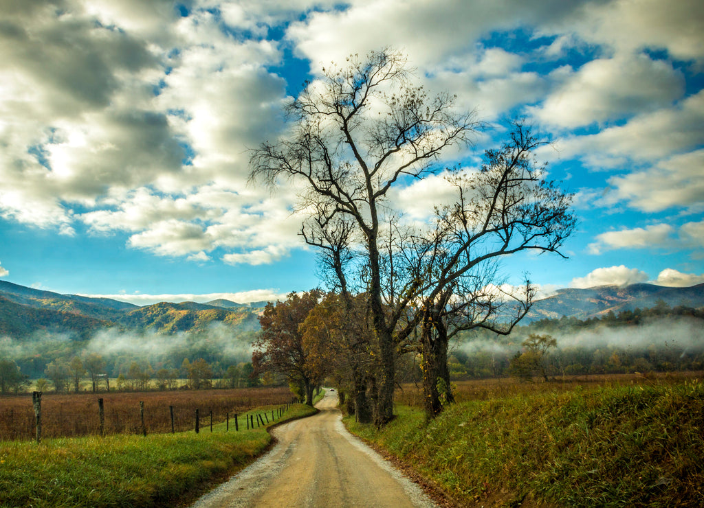 dramatic and vibrant autumn foliage in the Cades Cove in the Great Smoky Mountain National park in Tennessee