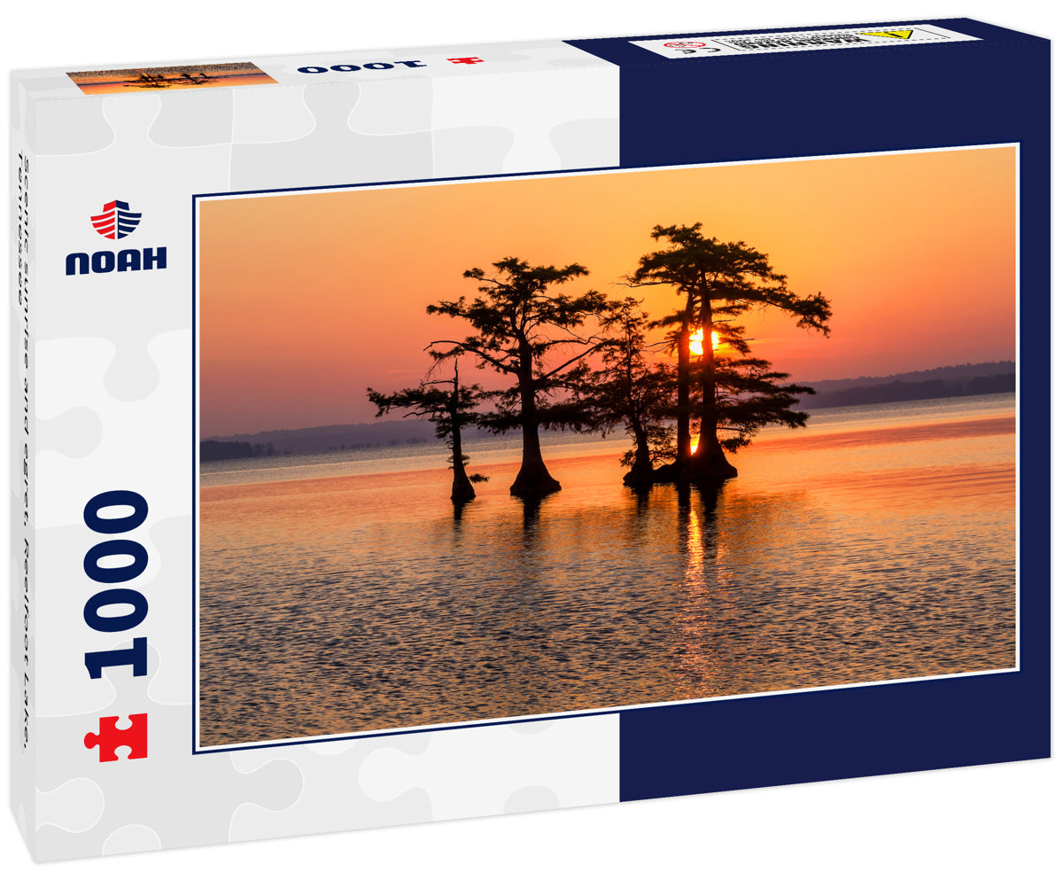 Scenic sunrise and egret, Reelfoot Lake, Tennessee