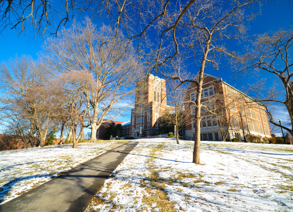 University of tennessee