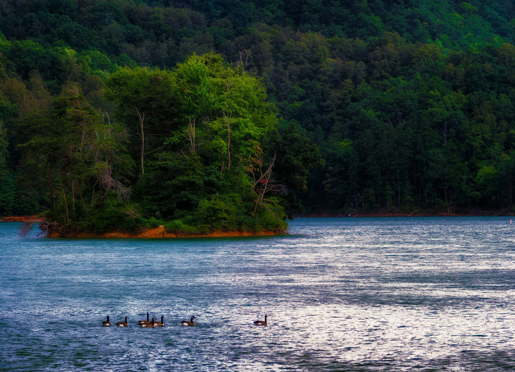 Rain Storm on Boone Lake, Tennessee